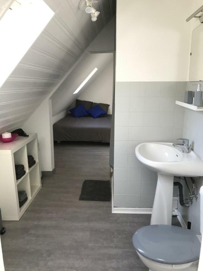 Appartement F1 atypique au centre de Strasbourg Extérieur photo